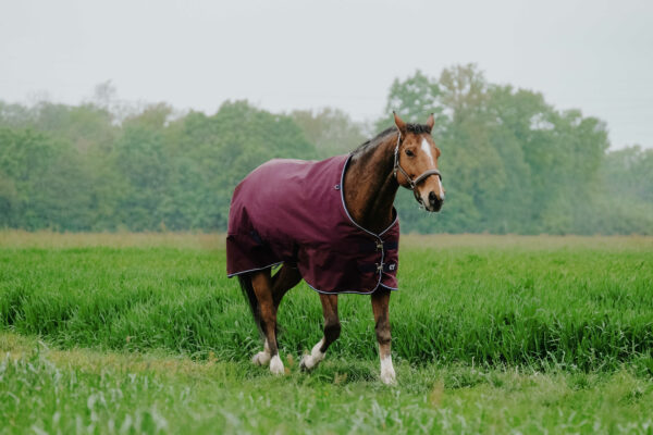Equithéme karámtakaró 450 grammos töltettel Tyrex 1200D Burgundy