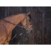 Riding World gouge - Image 2