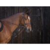 Riding World gouge - Image 3