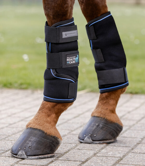Waldhausen hűtőkamásli párban Health + Care Ice Layer