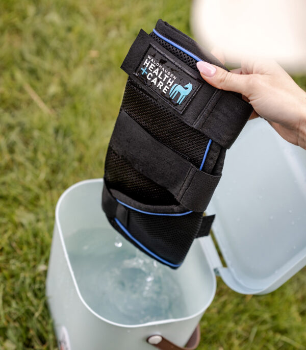 Waldhausen hűtőkamásli párban Health + Care Ice Layer - Image 7