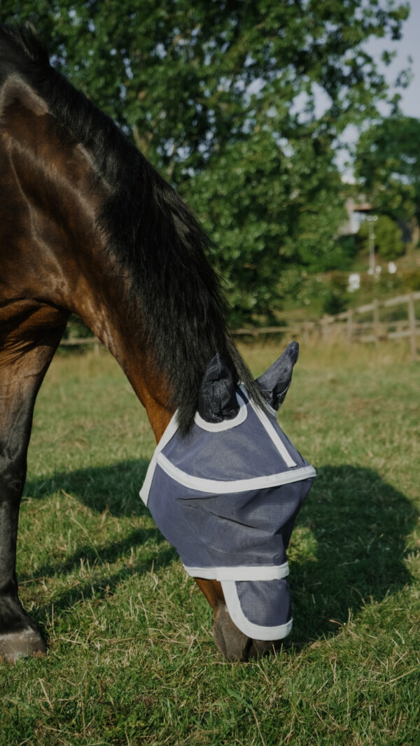 Equithéme légymaszk Cerceau - Image 2