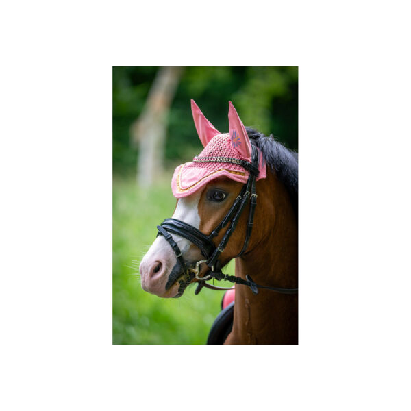 BR fülvédő póniknak Mini Horse - Image 12