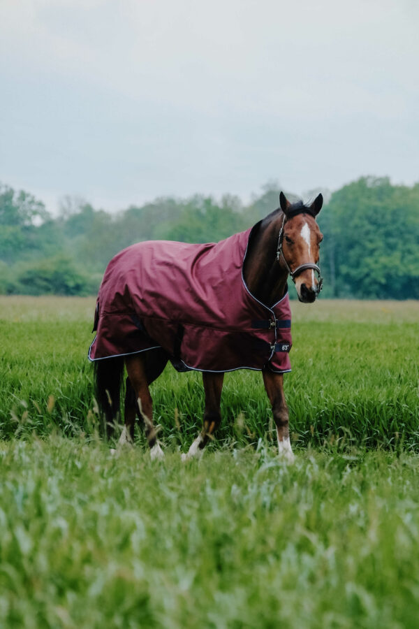 Equithéme magasított nyakú töltetlen karámtakaró Tyrex 1200 D Burgundy - Image 2