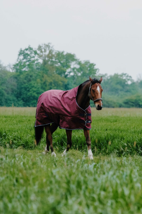 Equithéme magasított nyakú töltetlen karámtakaró Tyrex 1200 D Burgundy - Image 3
