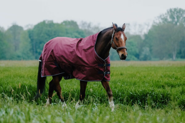 Equithéme magasított nyakú töltetlen karámtakaró Tyrex 1200 D Burgundy