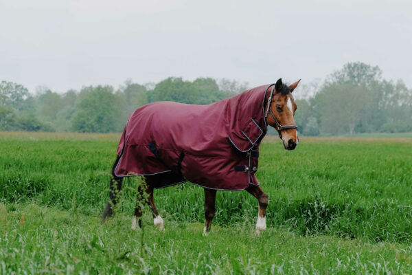 Equithéme nyakas karámtakaró 200 grammos töltettel Tyrex 1200 D Burgundy - Image 2