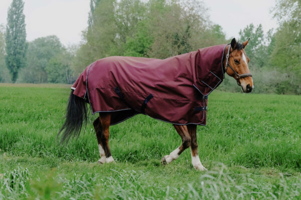 Equithéme nyakas karámtakaró 200 grammos töltettel Tyrex 1200 D Burgundy - Image 3