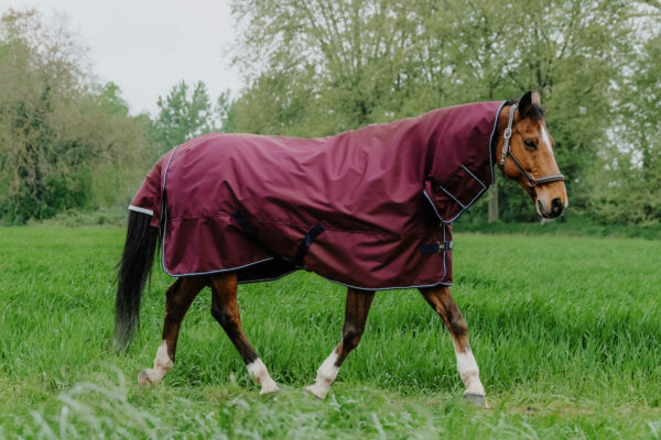 Equithéme nyakas karámtakaró 200 grammos töltettel Tyrex 1200 D Burgundy