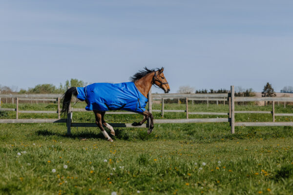 Equithéme karámtakaró töltet nélkül Tyrex Aisanse 1200D Royal Blue