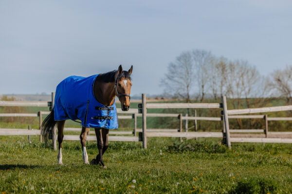 Equithéme karámtakaró töltet nélkül Tyrex Aisanse 1200D Royal Blue - Image 2