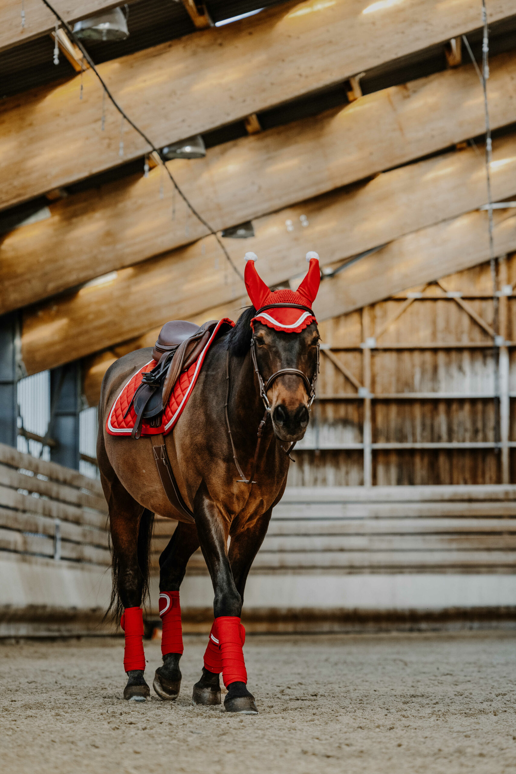 Equithéme ugró fazonú nyeregalátét X-MAS - Image 2