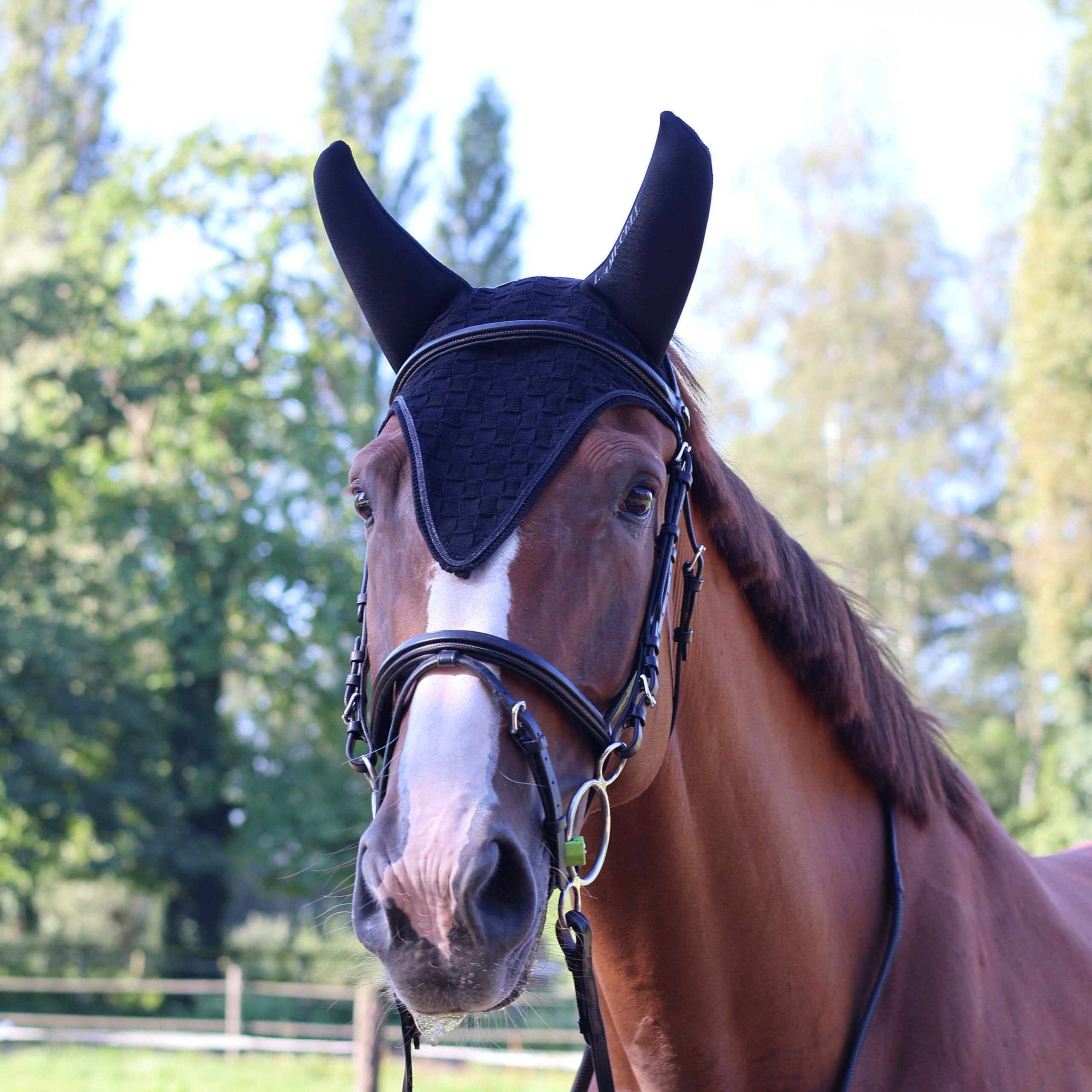 Lamicell hangtompítós hosszított fülvédő - Image 5