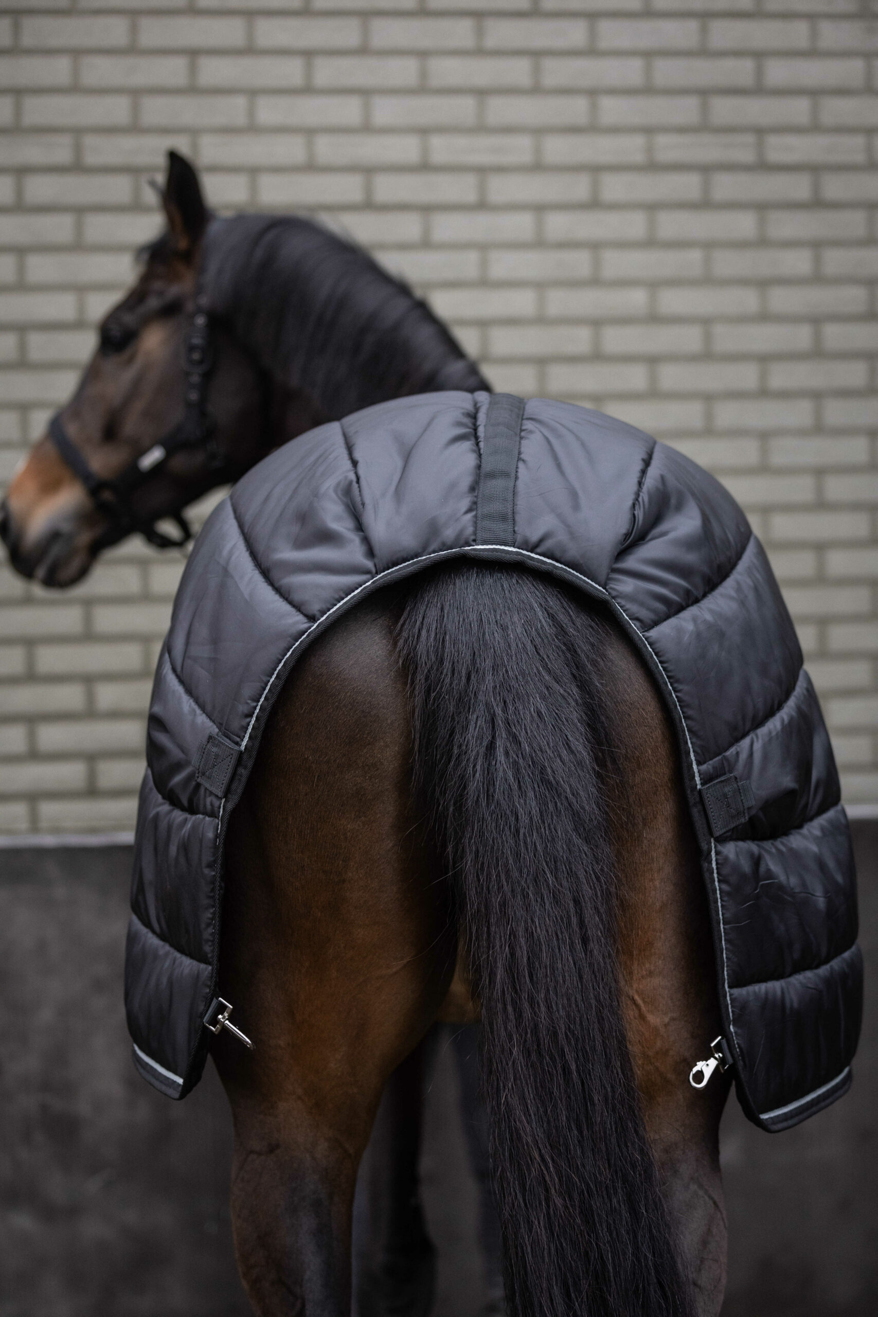 Lamicell alsó takaró 100 g töltettel Armadillo - Image 4