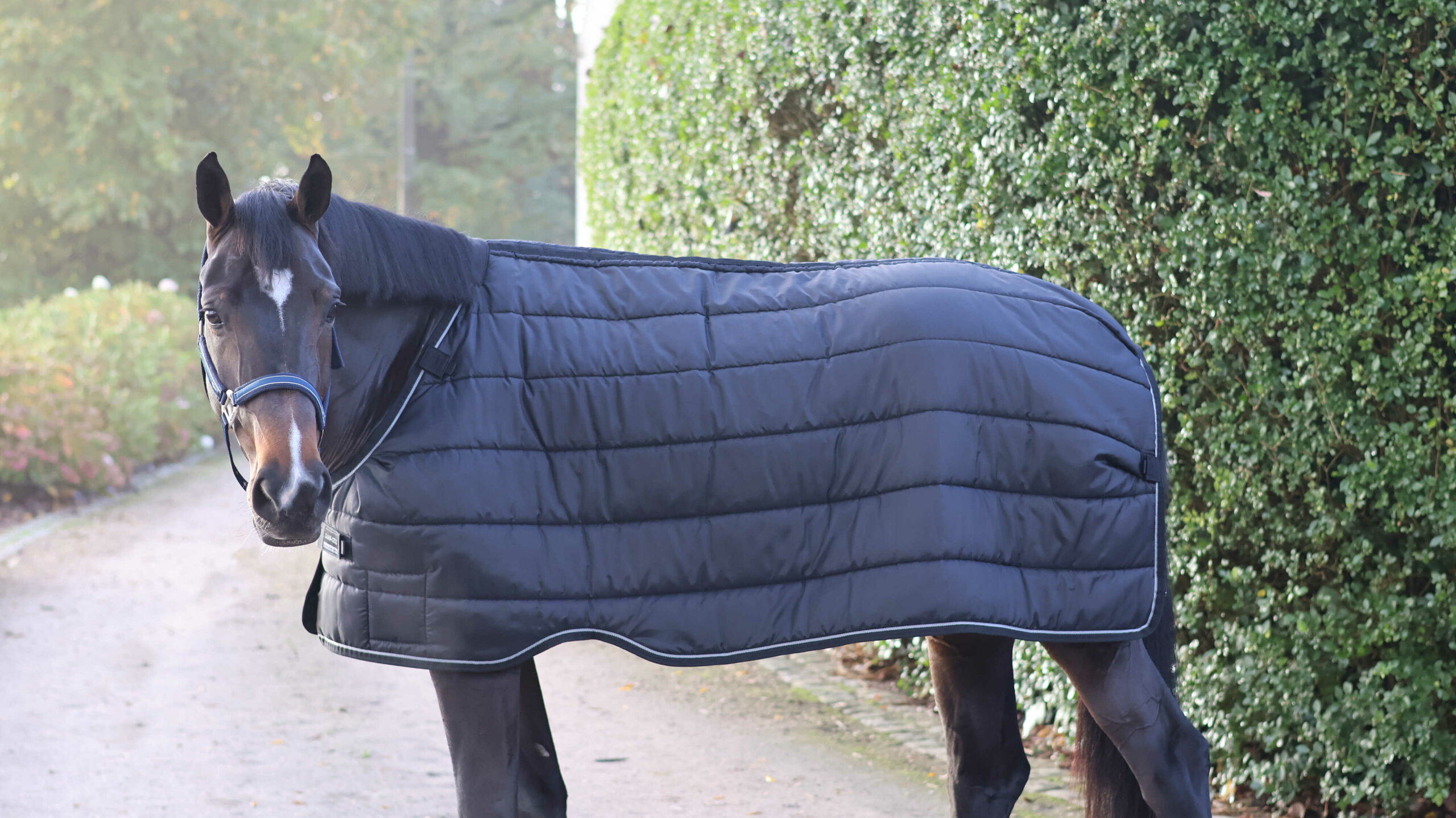 Lamicell alsó takaró 100 g töltettel Armadillo - Image 3