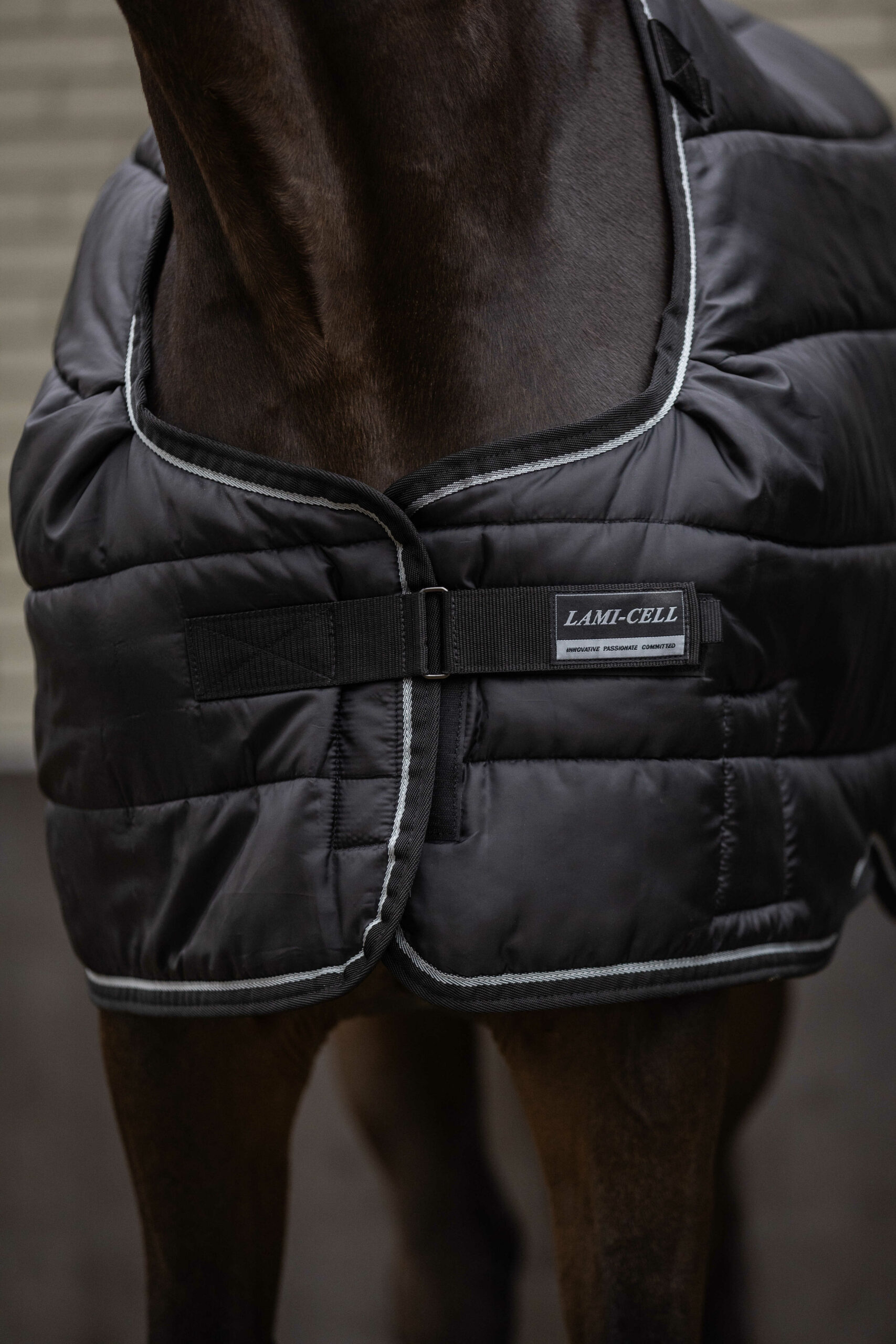 Lamicell alsó takaró 100 g töltettel Armadillo - Image 8